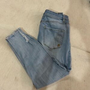 Indigo reins Women's Jeans